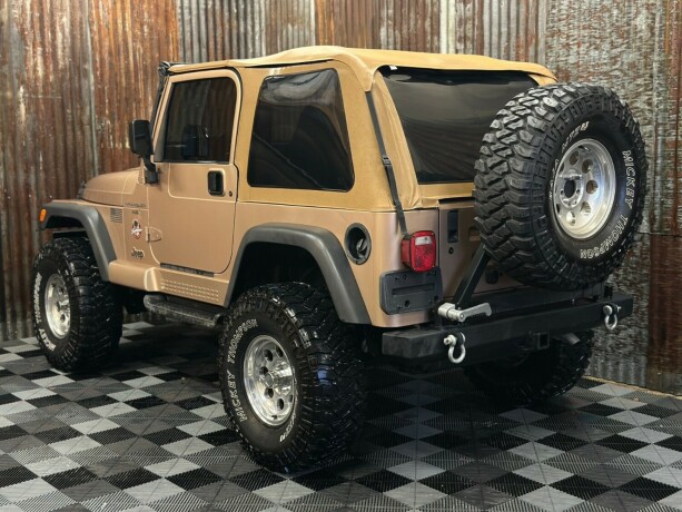 jeep-wrangler-1998-big-14