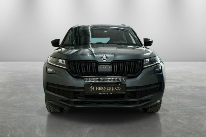 skoda-kodiaq-diesel-2019-big-2