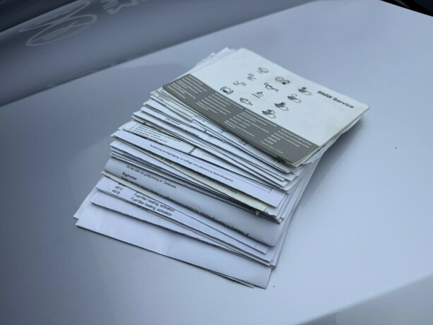 bmw-3-serie-diesel-2010-big-37