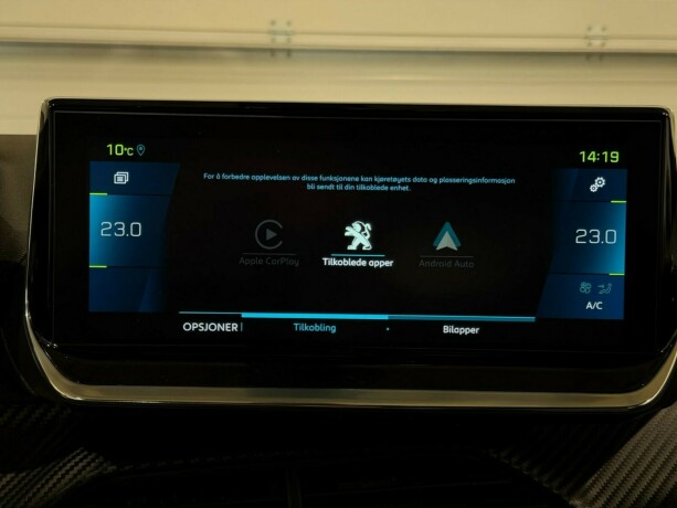 peugeot-2008-elektrisitet-2021-big-18