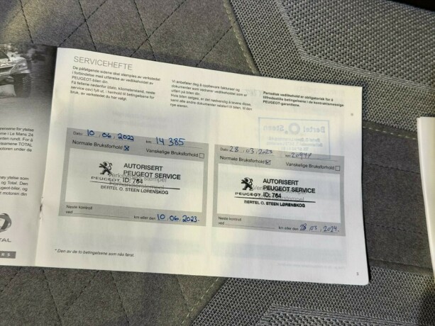 peugeot-2008-elektrisitet-2021-big-24