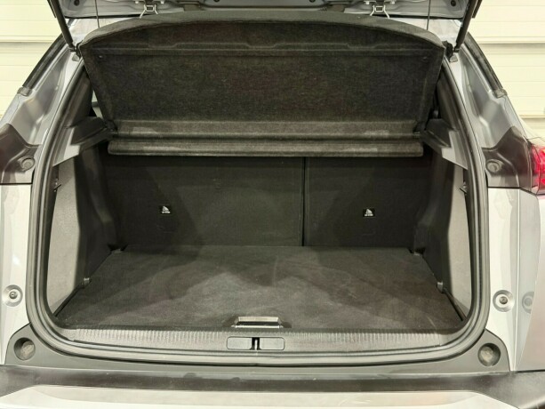 peugeot-2008-elektrisitet-2021-big-11