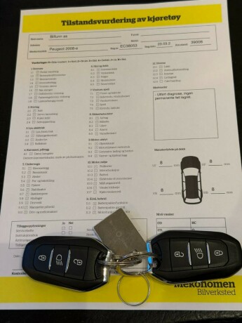 peugeot-2008-elektrisitet-2021-big-25