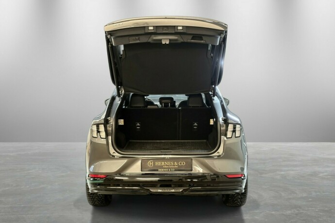 ford-mustang-mach-e-elektrisitet-2021-big-9