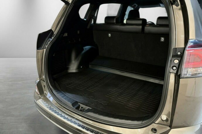 toyota-rav4-elektrisitetbensin-2018-big-6