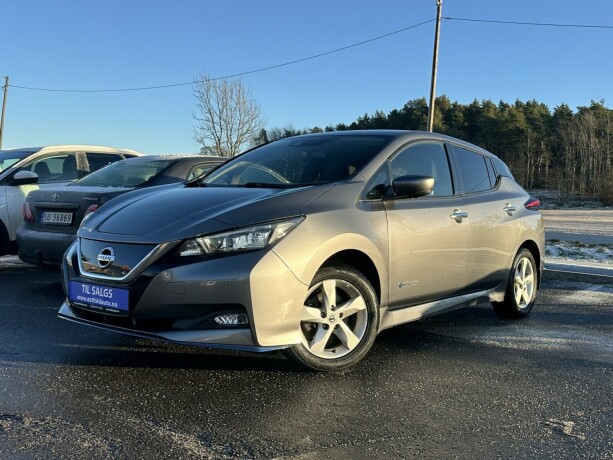 nissan-leaf-elektrisitet-2019-big-0