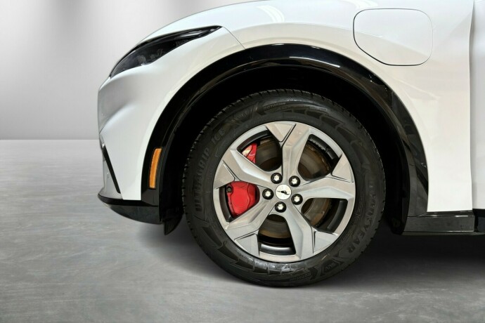 ford-mustang-mach-e-elektrisitet-2022-big-2