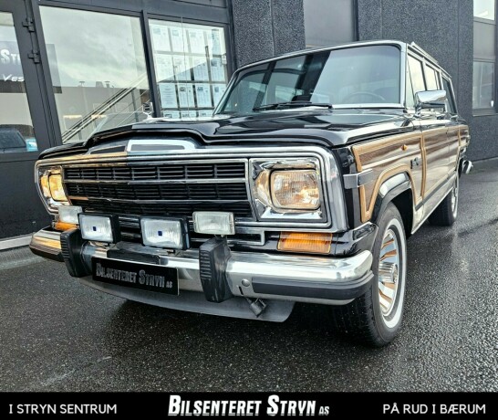 jeep-andre-bensin-1991-big-18