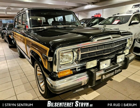 jeep-andre-bensin-1991-big-1