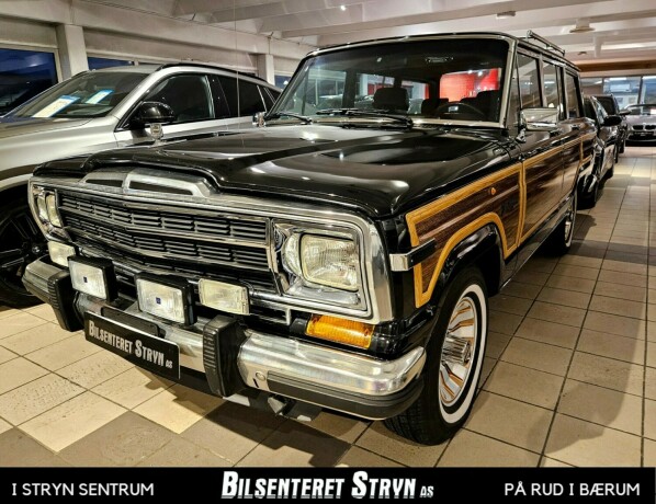 jeep-andre-bensin-1991-big-0