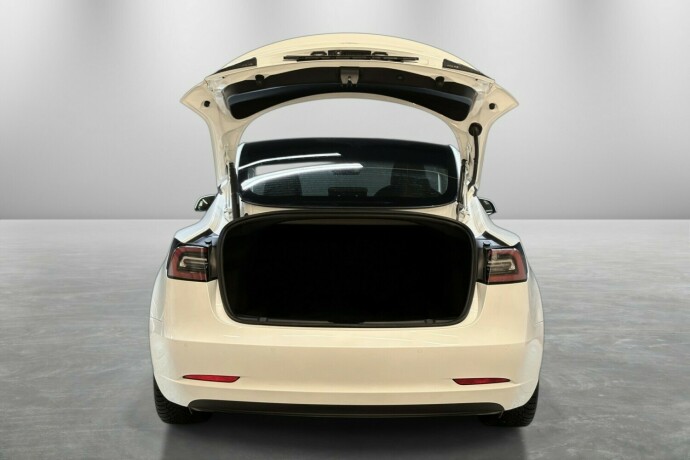 tesla-model-3-elektrisitet-2021-big-10