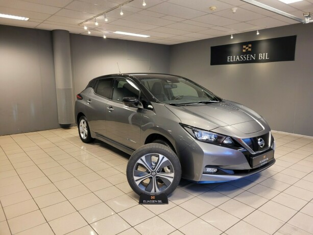 nissan-leaf-elektrisitet-2019-big-0