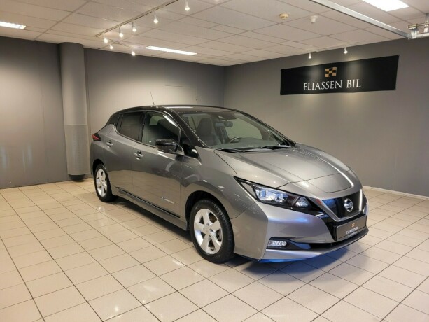 nissan-leaf-elektrisitet-2019-big-1