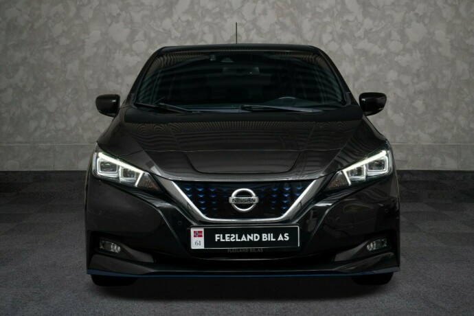 nissan-leaf-elektrisitet-2020-big-6