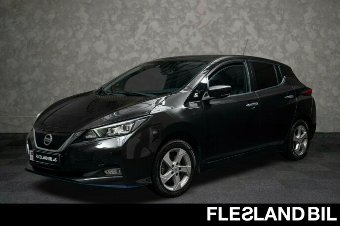nissan-leaf-elektrisitet-2020-big-0