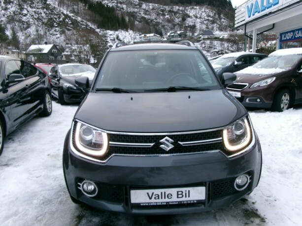 suzuki-ignis-elektrisitetbensin-2018-big-1