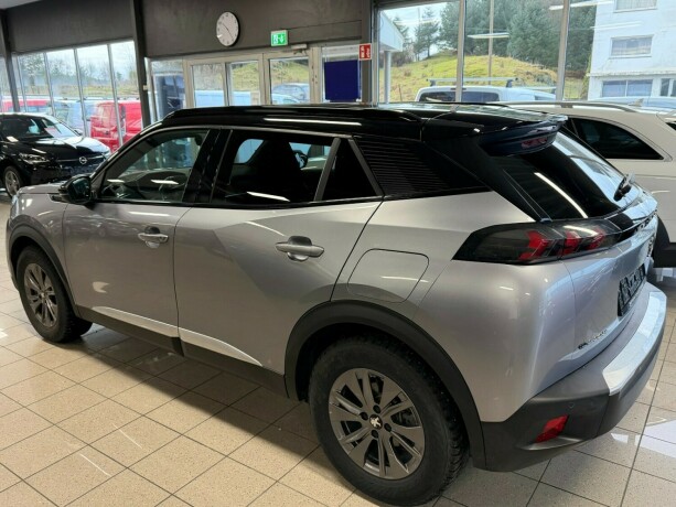 peugeot-2008-elektrisitet-2020-big-7