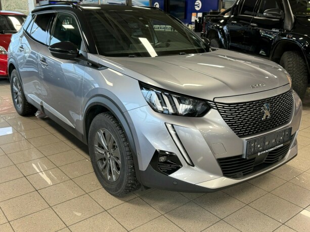 peugeot-2008-elektrisitet-2020-big-2