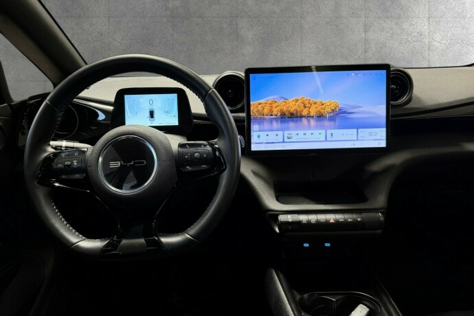 byd-dolphin-elektrisitet-2025-big-15