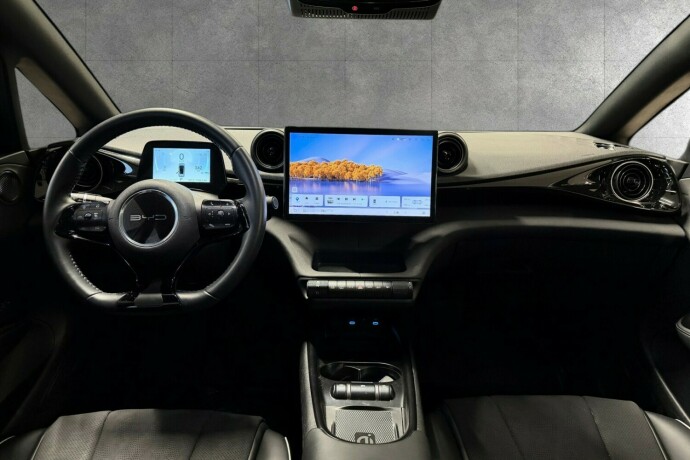 byd-dolphin-elektrisitet-2025-big-14