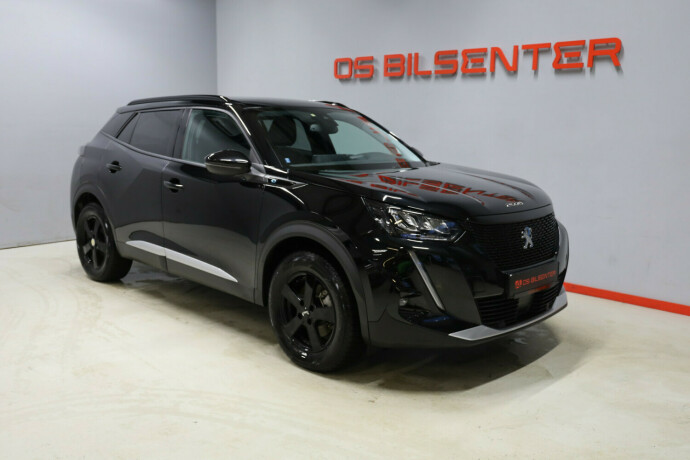 peugeot-2008-elektrisitet-2021-big-0