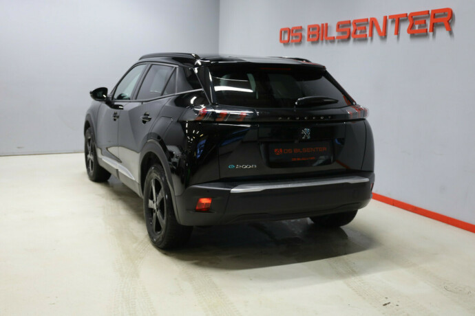 peugeot-2008-elektrisitet-2021-big-5