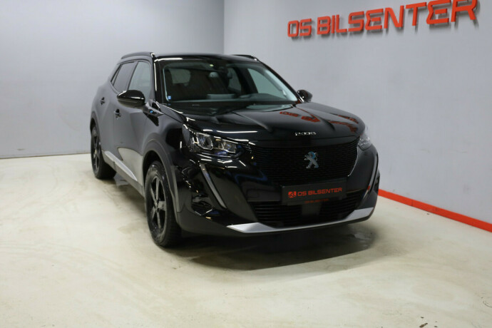 peugeot-2008-elektrisitet-2021-big-1