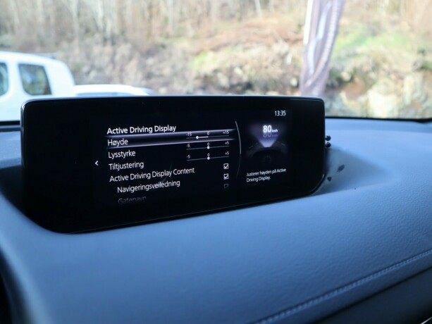 mazda-mx-30-elektrisitet-2020-big-24