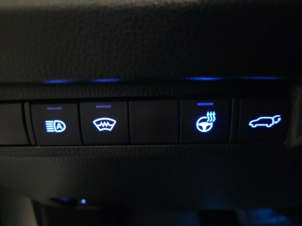 toyota-rav4-elektrisitetbensin-2020-big-24