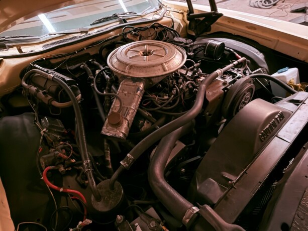 ford-andre-bensin-1977-big-36