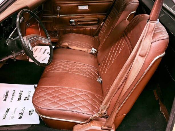 ford-andre-bensin-1977-big-22