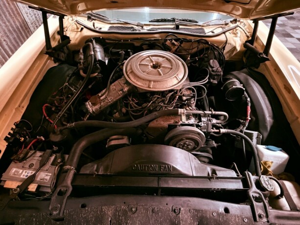 ford-andre-bensin-1977-big-33