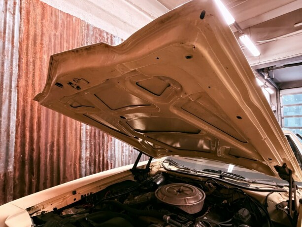 ford-andre-bensin-1977-big-37