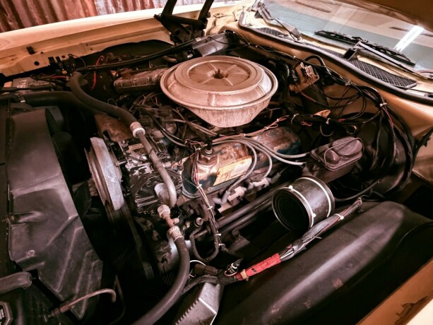 ford-andre-bensin-1977-big-35