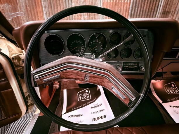 ford-andre-bensin-1977-big-26