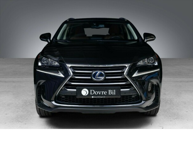 lexus-nx-300h-elektrisitetbensin-2016-big-4