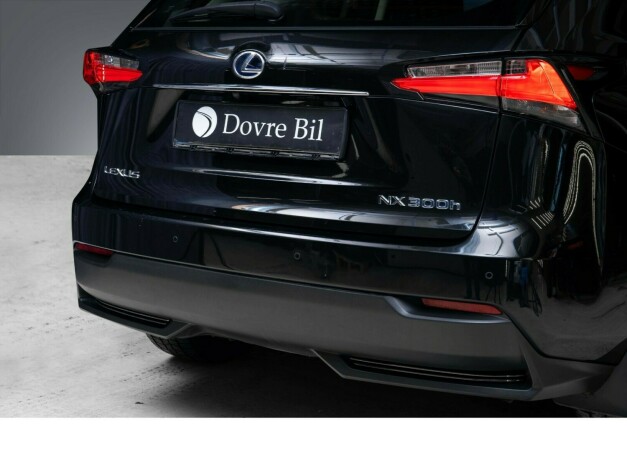 lexus-nx-300h-elektrisitetbensin-2016-big-6