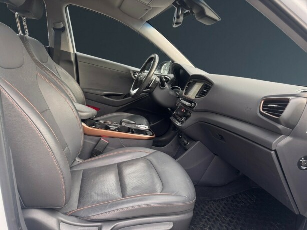 hyundai-ioniq-elektrisitet-2019-big-10