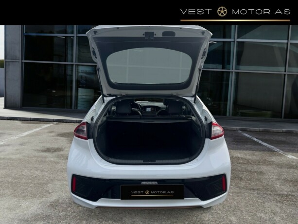 hyundai-ioniq-elektrisitet-2019-big-6