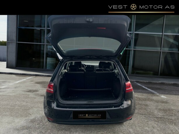 volkswagen-golf-elektrisitet-2015-big-6