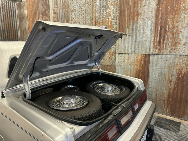 chrysler-andre-bensin-1988-big-45