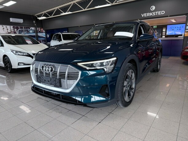 audi-e-tron-elektrisitet-2019-big-0