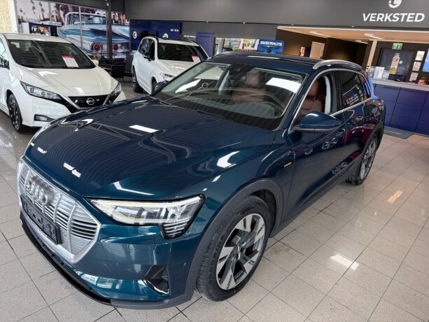 audi-e-tron-elektrisitet-2019-big-2