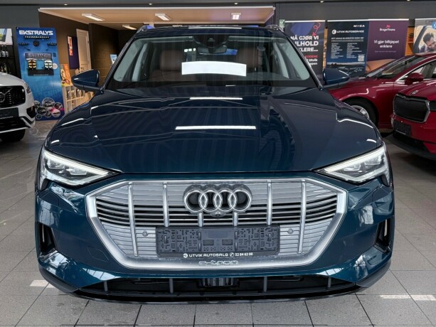 audi-e-tron-elektrisitet-2019-big-1