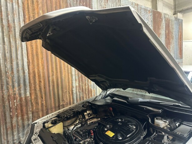 mercedes-benz-300-bensin-1992-big-37