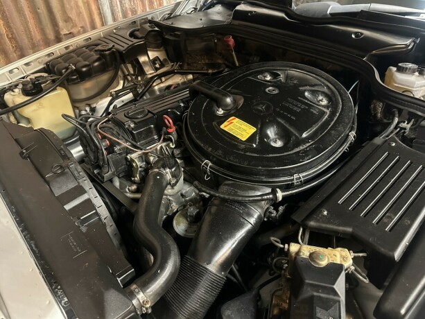 mercedes-benz-300-bensin-1992-big-35