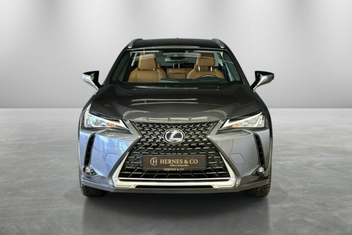 lexus-ux-elektrisitet-2022-big-30