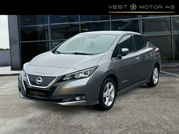 nissan-leaf-elektrisitet-2019-big-2