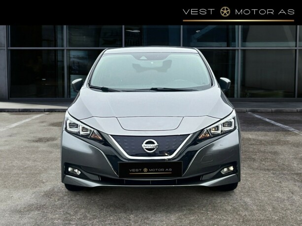 nissan-leaf-elektrisitet-2019-big-1