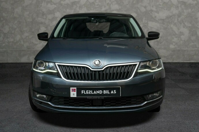 skoda-rapid-bensin-2019-big-4